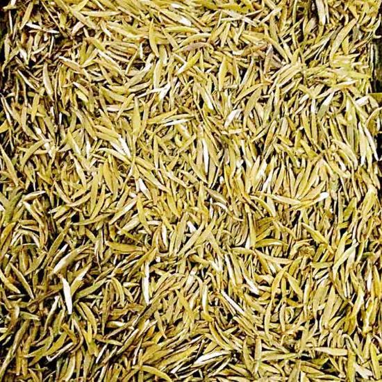 瓯叶黄茶缅甸黄花梨温州黄汤茶叶平阳黄汤明前特级250