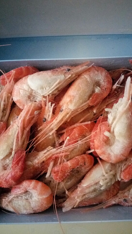 康农星马来西亚大虾 淡水虾王 肉多鲜嫩 净虾1000g特惠装