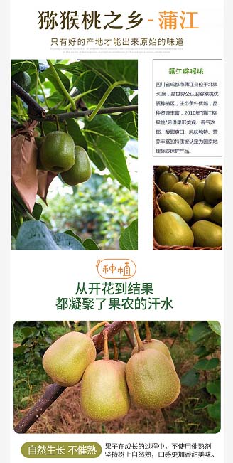 百姓彩票行走八桂丨红心猕猴桃乐业县富民新产业