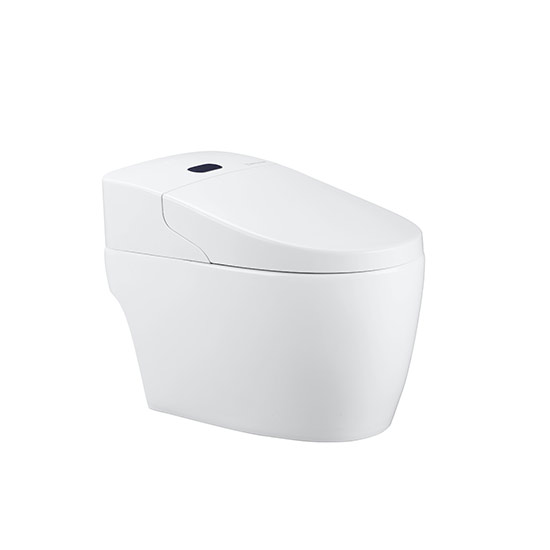 美国西屋智能马桶一体机实物组