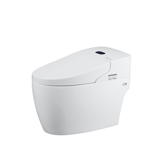 美国西屋智能马桶一体机实物组