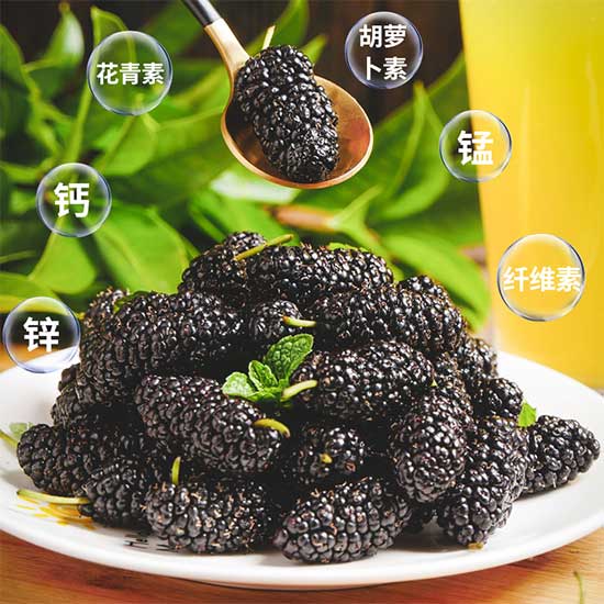 新疆吐鲁番特级桑葚干