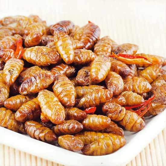 孟家官府菜干煸蚕蛹美味组