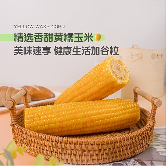 兢农东北黄糯玉米