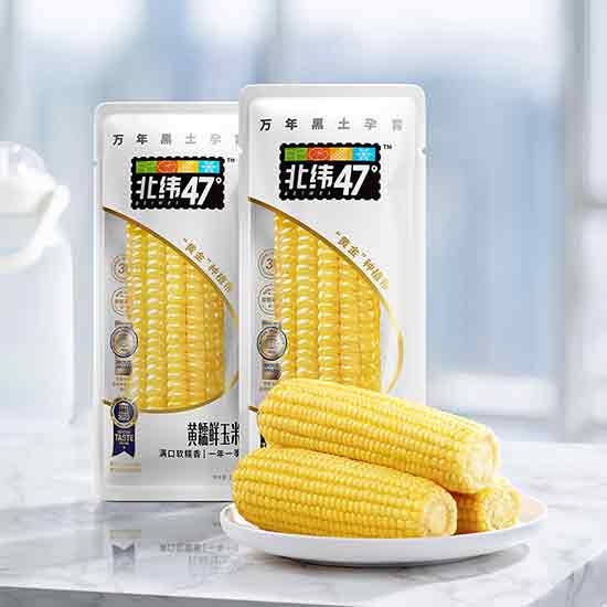 北纬47度特级黄糯玉米