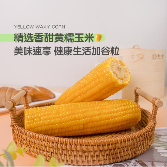 棒师傅东北黄糯玉米加赠组