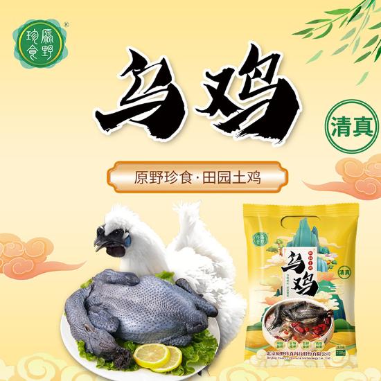 内蒙赤峰生态散养大公鸡家庭组