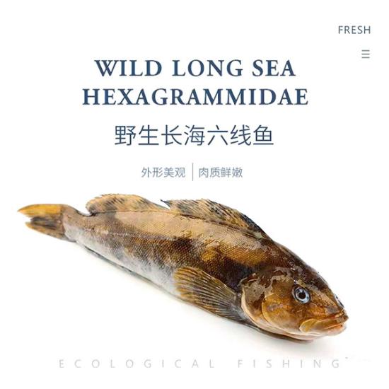俄式臻享海黄鱼罐头