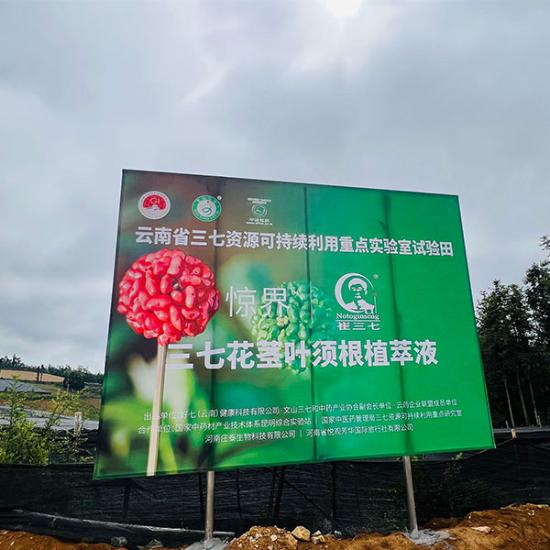 崔三七鲜三七植萃液