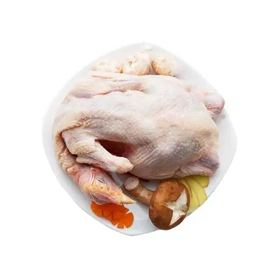 食在泗阳苏北童子鸡家庭组