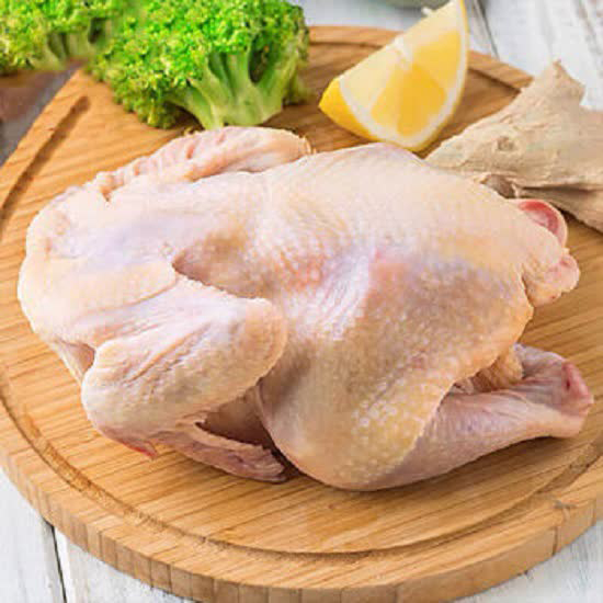 食在泗阳苏北童子鸡家庭组