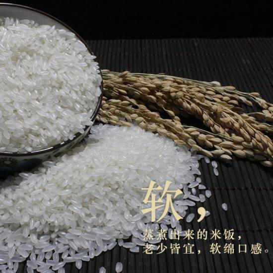 五常直发正宗2025稻花香新米