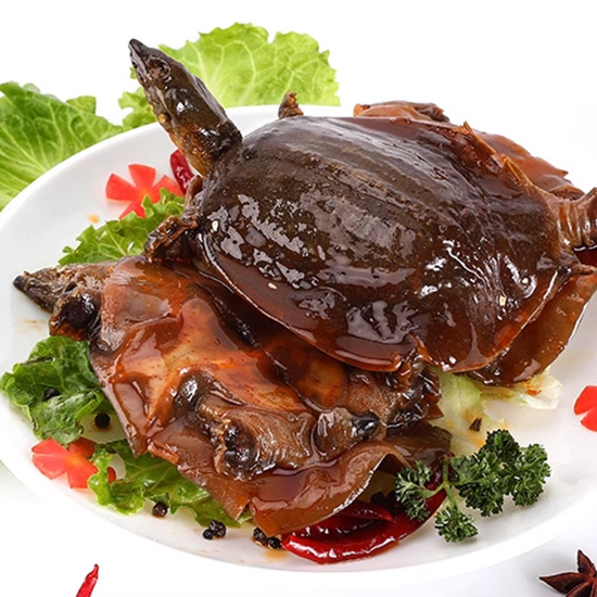 寿星翁人参黄焖甲鱼