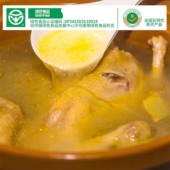 大别山原产黄油老母鸡