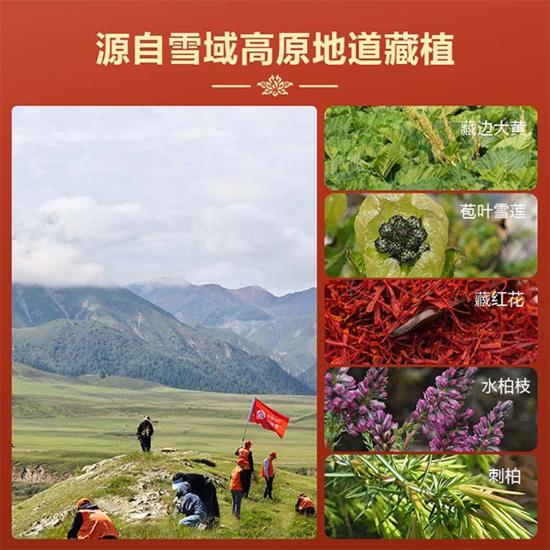 藏珍堂藏浴泡脚原浆