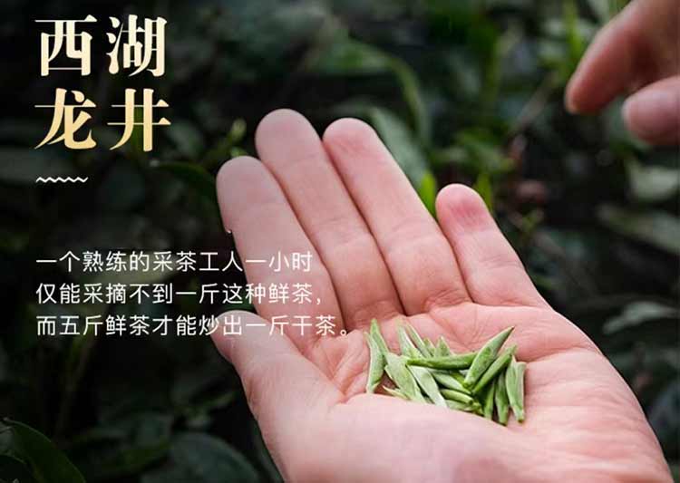 未标题-12