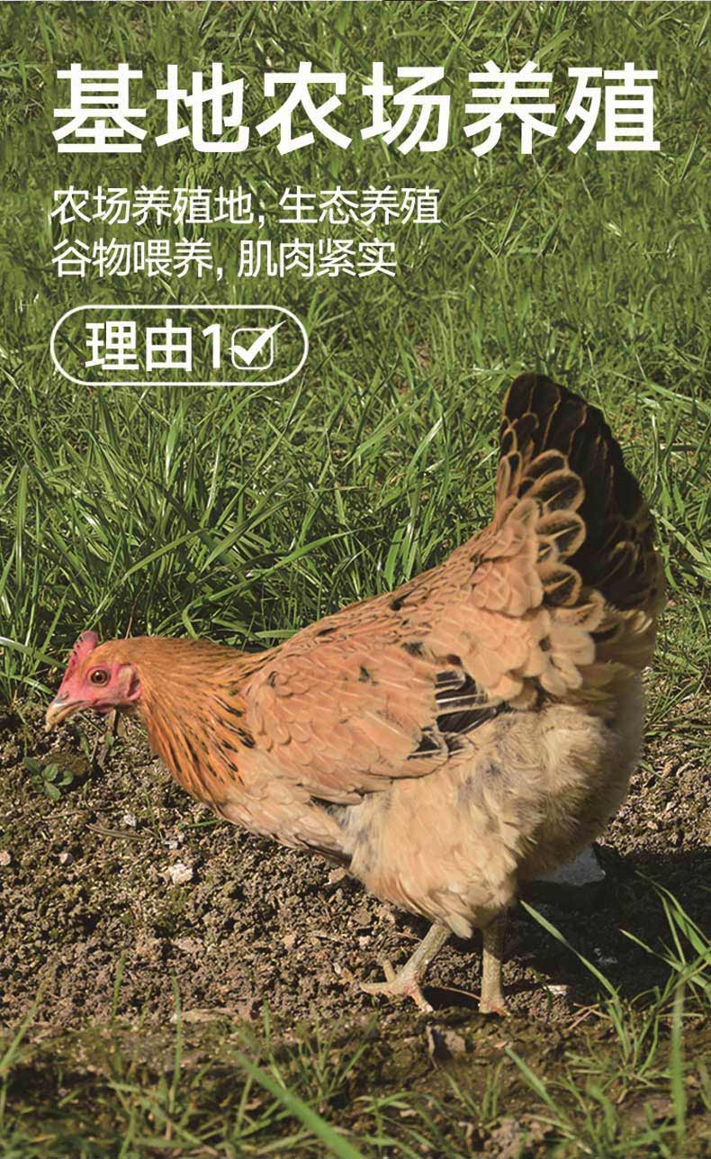 微信图片_20250514145831_02