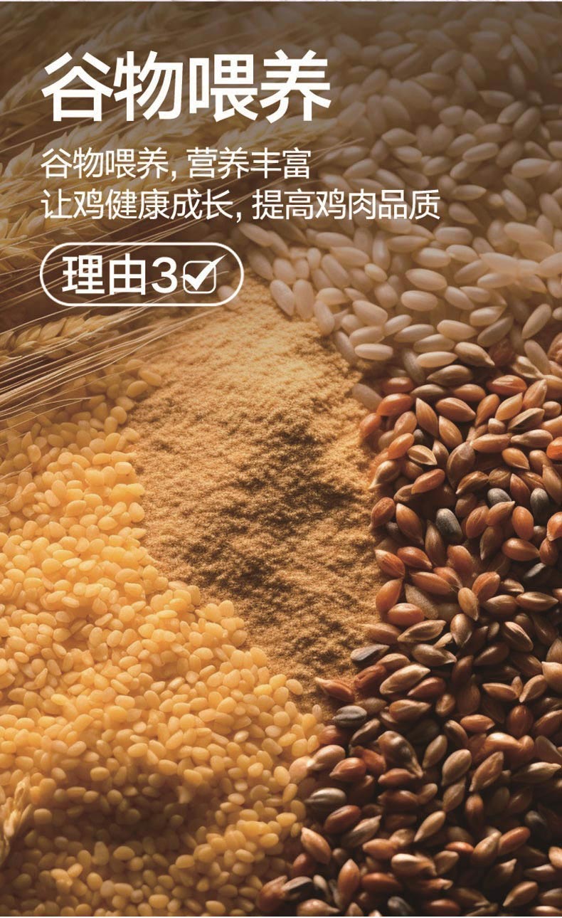 微信图片_20250514145831_04